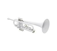 Tromba professionale Tromba bianca Trombone musicale professionale Strumento a fiato con bocchino Guanti Panno per pulizia Custodia per cinturino Migliore tromba