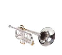 Tromba professionale Tromba Commemorativa Tromba Argento Strumento Piatto Ottone Studente