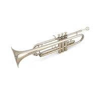 Tromba professionale Tromba d'argento in si bemolle laccato oro ottone bicolore performance di banda opzionale per studenti adulti principianti
