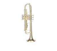 Tromba professionale Tromba di alta qualità in Sib B tromba in ottone resistente con fondo piatto bocchino argentato e squisita borsa da concerto(Color:2)