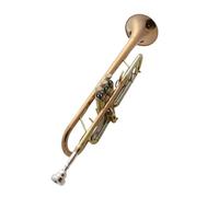 Tromba professionale Tromba di fascia alta in si bemolle strumento tromba performance professionale che insegna la valutazione solista