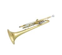 Tromba professionale Tromba di tipo standard con corpo a tubo in rame bianco con variazione di intonazione. Tromba in Si bemolle laccata oro bicolore