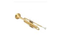Tromba professionale Tromba dorata in si bemolle laccato oro ottone bicolore performance di banda opzionale per studenti adulti principianti
