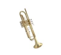 Tromba professionale Tromba generale per banda di fiati di livello principiante. Tromba in si bemolle