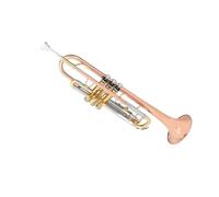 Tromba professionale Tromba in bronzo fosforoso consigliata in si bemolle per principianti e orchestra di trombe professionali