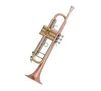 Tromba professionale Tromba in bronzo fosforoso e tubo di accordatura in rame bianco Tromba a tre note in Si bemolle per principianti e prestazioni professionali