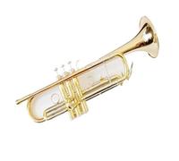 Tromba professionale Tromba in bronzo fosforoso strumento a fiato tromba intermedia tromba squisita in si bemolle