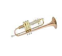 Tromba professionale Tromba in bronzo fosforoso tromba in Si bemolle per studenti professionisti principianti generali in ottone di marca