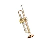 Tromba professionale Tromba in ottone in si bemolle bronzo fosforoso ad alte prestazioni professionali
