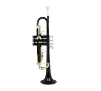Tromba Professionale Tromba In Ottone In Si Bemolle | Strumento di rovo(Black)