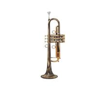 Tromba professionale Tromba in ottone standard in Sib per studenti principianti con custodia rigida guanti bocchino da 7 C