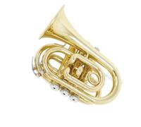 Tromba professionale Tromba in ottone Tromba portatile Tromba tascabile portatile Studente adulto Professionista che suona strumenti in ottone