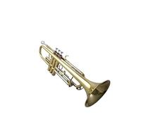 Tromba professionale Tromba in si bemolle Esame per principianti Strumento generale per tromba Banda di fiati Corpo di tamburi e trombe