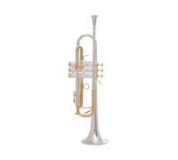 Tromba professionale Tromba in si bemolle Fascia professionale per strumento in ottone argentato con chiave dorata