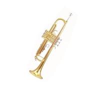 Tromba professionale Tromba in si bemolle laccata oro una buona scelta per l'insegnamento familiare per l'orchestra della scuola principiante