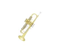 Tromba professionale Tromba in Si bemolle oro e argento Tromba in Sib con corpo in ottone e accessori per scatola portaoggetti(Color:2)