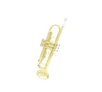 Tromba professionale Tromba in Si bemolle oro e argento Tromba in Sib con corpo in ottone e accessori per scatola portaoggetti(Color:4)
