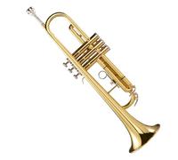 Tromba professionale Tromba in si bemolle ottone bronzo fosforoso argentato introduzione per principianti alla musica orchestrale occidentale
