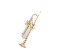 Tromba professionale Tromba in si bemolle per orchestra scolastica modello aggiornato per studio autonomo