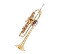 Tromba professionale Tromba in si bemolle per principianti esame per banda strumento in ottone per adulti per bambini oro