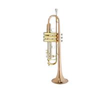 Tromba professionale Tromba in si bemolle per principianti per suonare lo strumento musicale per l'esame di maturità
