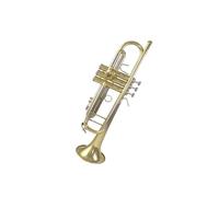 Tromba professionale Tromba in si bemolle per studenti adulti e principianti strumento musicale squisito e durevole di tipo universale