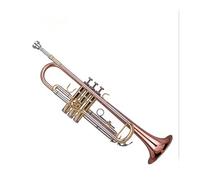 Tromba professionale Tromba in si bemolle ponderata in bronzo fosforoso Esame per principianti Strumento a tromba placcato in argento professionale