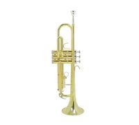 Tromba professionale Tromba in Si bemolle strumento musicale tromba dorata con corpo in ottone con guanti per la bocca e accessori in tessuto