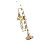 Tromba professionale Tromba in si bemolle uno strumento tromba generale per principianti
