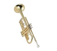 Tromba professionale Tromba in Sib a bocca piatta strumento musicale in ottone squisito e durevole placcato in oro con scatola per cinturino portaoggetti