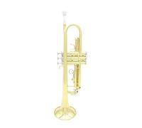 Tromba professionale Tromba in Sib con corpo in ottone e tromba con accessori per scatola portaoggetti tromba professionale in Si bemolle oro e argento (Color : Gold)