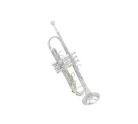 Tromba professionale Tromba in Sib con corpo in ottone set di trombe per strumenti professionali in ottone in Si bemolle tromba in oro e argento(Color:Silver)