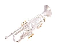 Tromba professionale Tromba in Sib Si bemolle in ottone placcato argento Tromba professionale con custodia in pelle(Color:Silver)