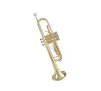 Tromba professionale Tromba in tonalità di Si uno strumento a tromba generale da imparare per i principianti