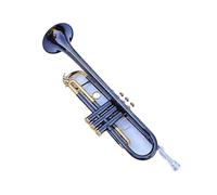 Tromba professionale Tromba musicale unica in Sib Si Trombone piatto in ottone Strumento squisito con bocchino guanti e scatola