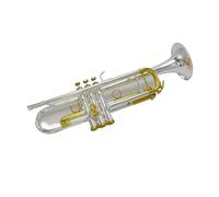 Tromba professionale Tromba per principianti Studenti concertisti Strumento piatto tromba d'argento