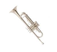 Tromba professionale Tromba piatta a tre note nichelata per principianti con accessori completi