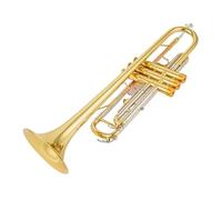 Tromba professionale Tromba portatile tascabile strumento tromba professionale con custodia in pelle Tromba in Sib Si bemolle ottone placcato argento