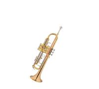 Tromba professionale Tromba Principiante Esame di grado Scuola Primaria Studente Banda di fiati Strumento in ottone