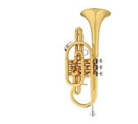 Tromba professionale Tromba professionale a tre tasti con corpo in ottone laccato oro piatto