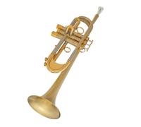 Tromba professionale Tromba professionale in chiave si bemolle tubo cambia voce in rame bianco spazzolato per impieghi gravosi bagaglio gratuito