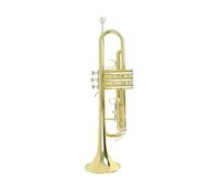 Tromba professionale Tromba professionale in ottone materiale musicale bocchino guanti panno per la pulizia scatola per cinturino