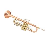 Tromba professionale Tromba professionale per carichi pesanti corpo in bronzo fosforoso tubo in rame bianco