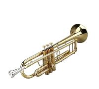 Tromba professionale Tromba professionale rinforzata a doppia trave con triplo tono acuto