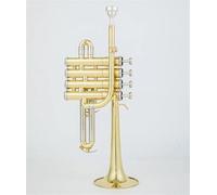 Tromba professionale Tromba Saxophone in Sib adatta per studenti ed esami professionali(Gold)
