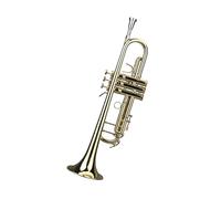 Tromba professionale Tromba SI bemolle Principiante Tromba Strumento Ottone TR501 Professionale
