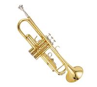 Tromba professionale Tromba Sib Si piatto trombone in ottone squisito e durevole strumento a tromba con scatola per tracolla e guanti per boccaglio