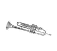 Tromba professionale Tromba Sib Si piatto trombone in ottone squisito e durevole strumento a tromba con scatola per tracolla e guanti per boccaglio(Color:Silver)