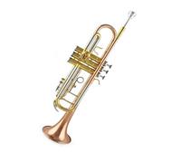 Tromba professionale Tromba standard per studenti tromba bicolore laccata dorata strumento professionale in ottone si bemolle