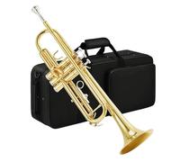 Tromba professionale Tromba standard per studenti Tromba standard in Sib per principianti strumento in ottone per tromba per studenti con custodia rigida